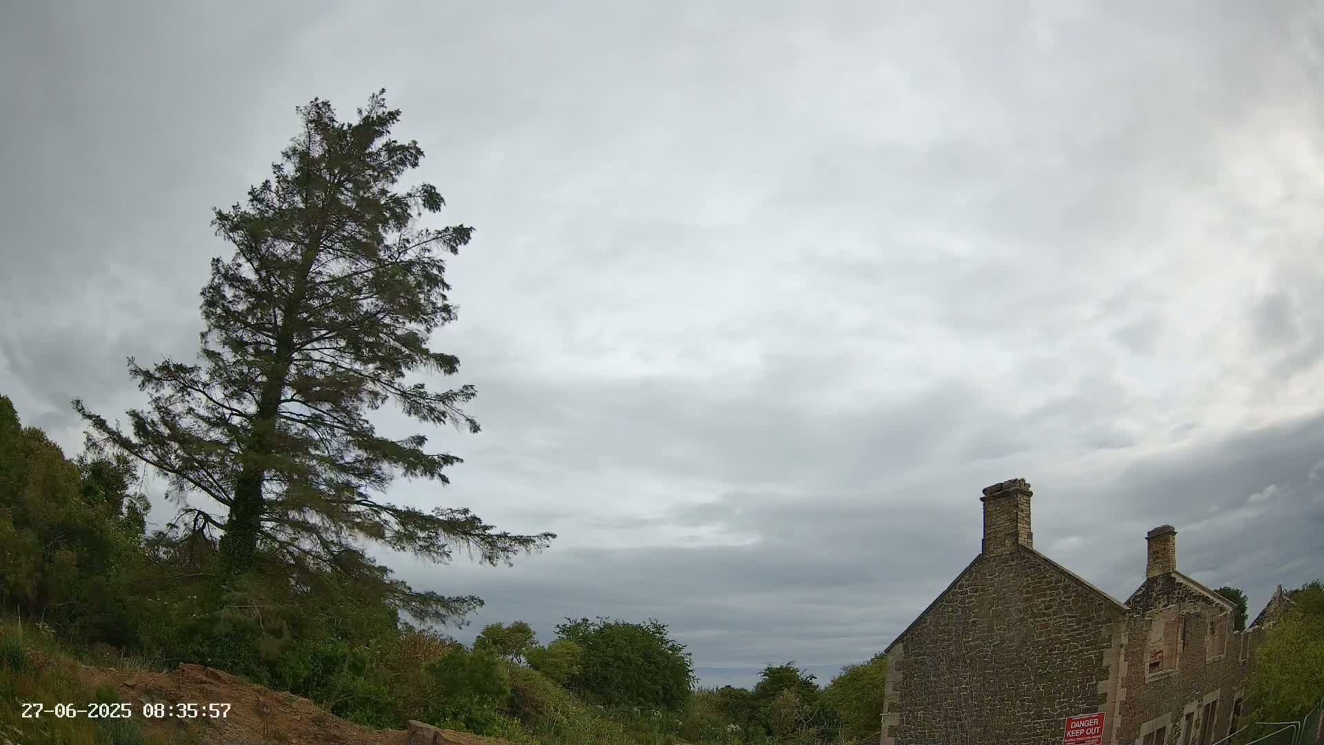 A tall, slender evergreen tree stands to the left of a partially ruined stone building under a cloudy sky.