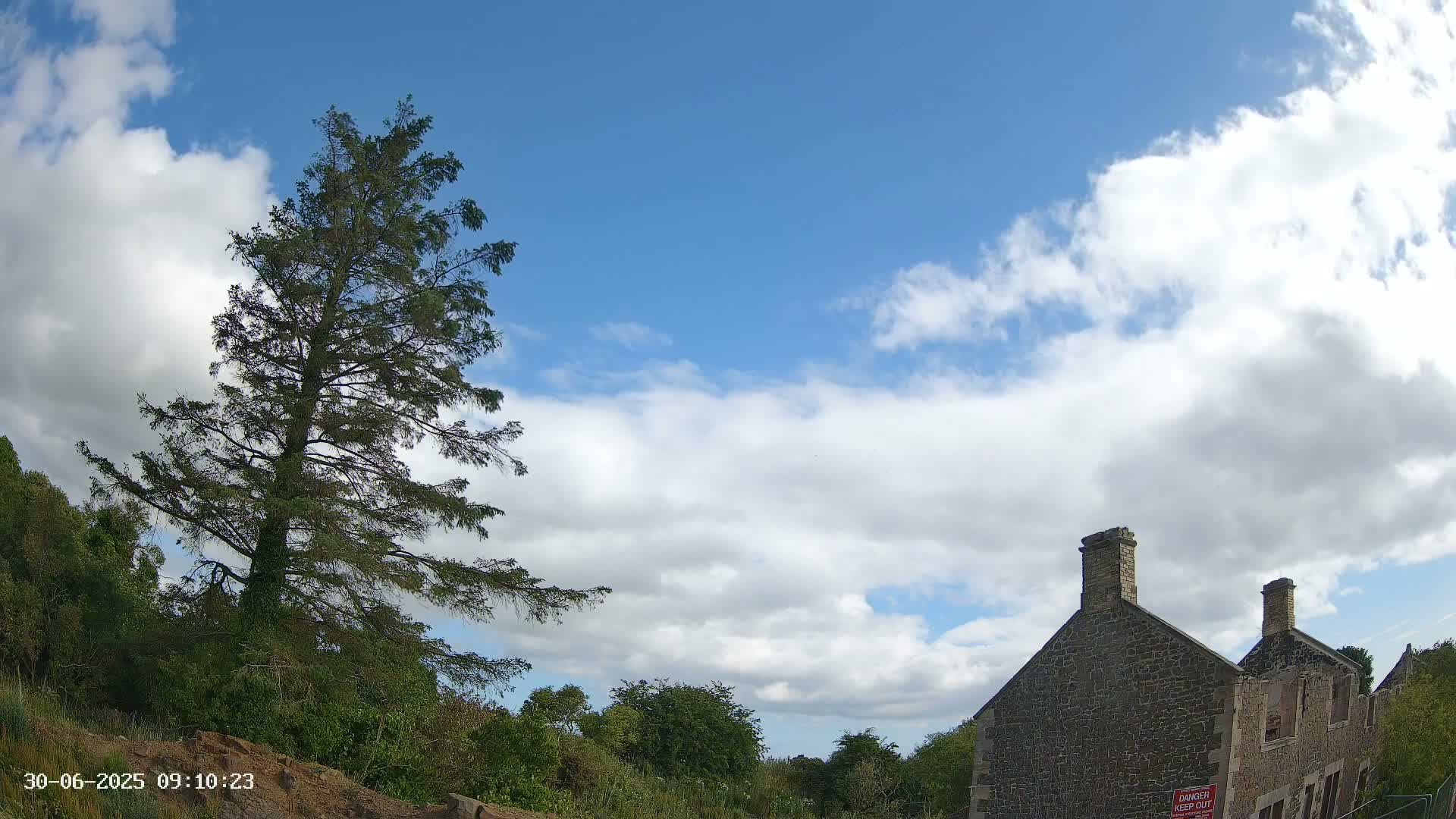 A tall evergreen tree stands near a partially ruined stone building under a partly cloudy blue sky.