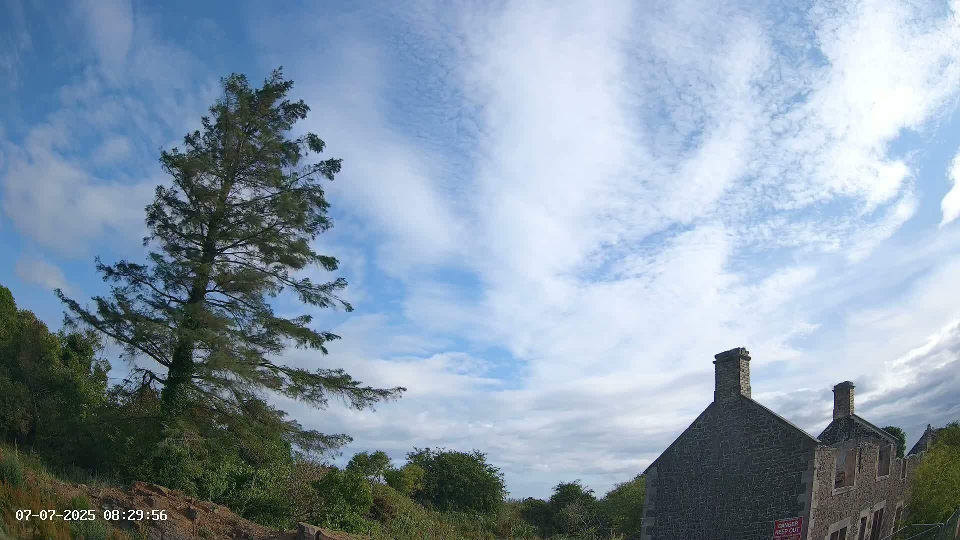 A tall, slender evergreen tree stands to the left of a partially ruined stone building under a partly cloudy blue sky.