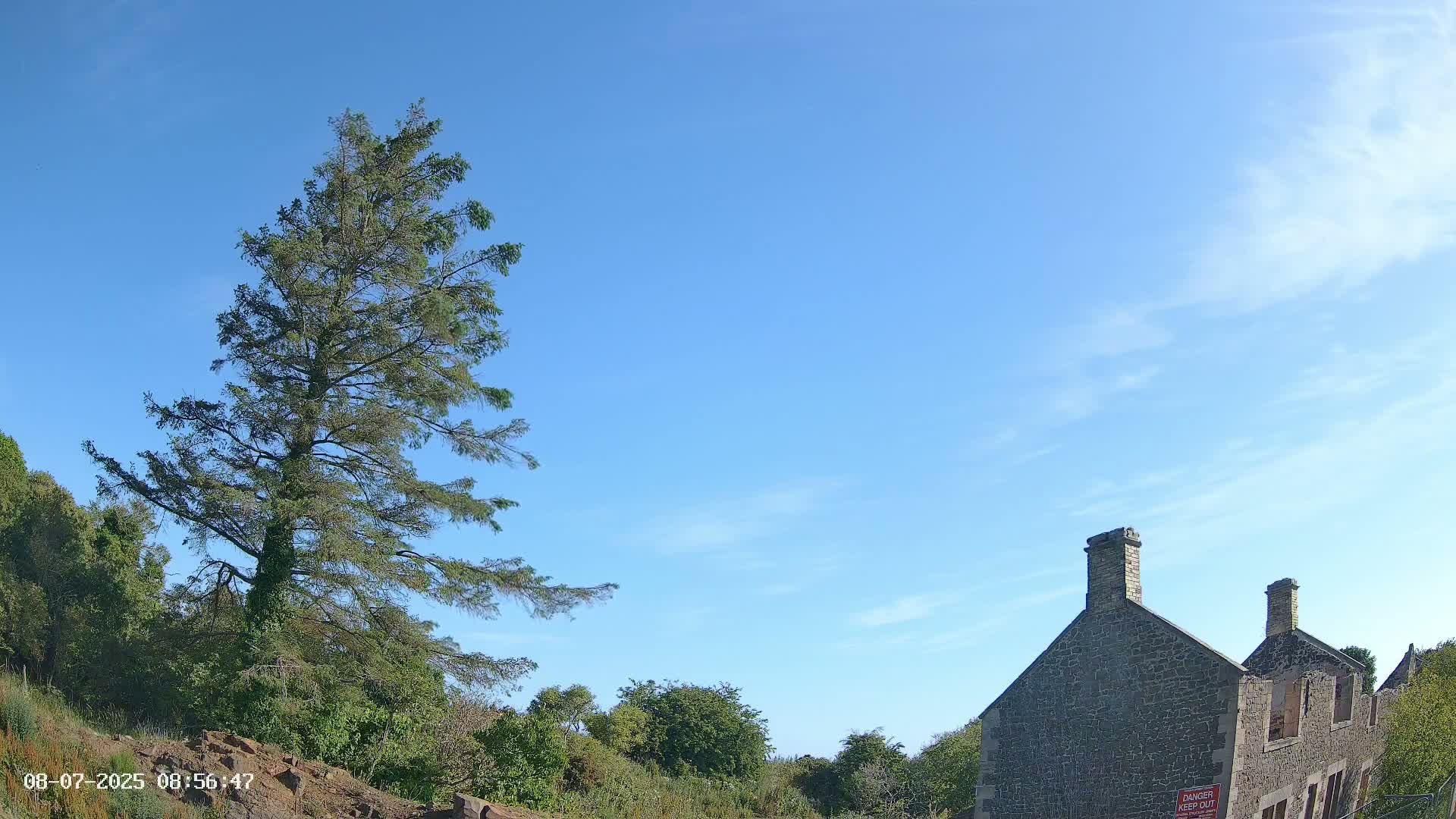 A tall evergreen tree stands to the left of a stone building under a mostly clear blue sky.