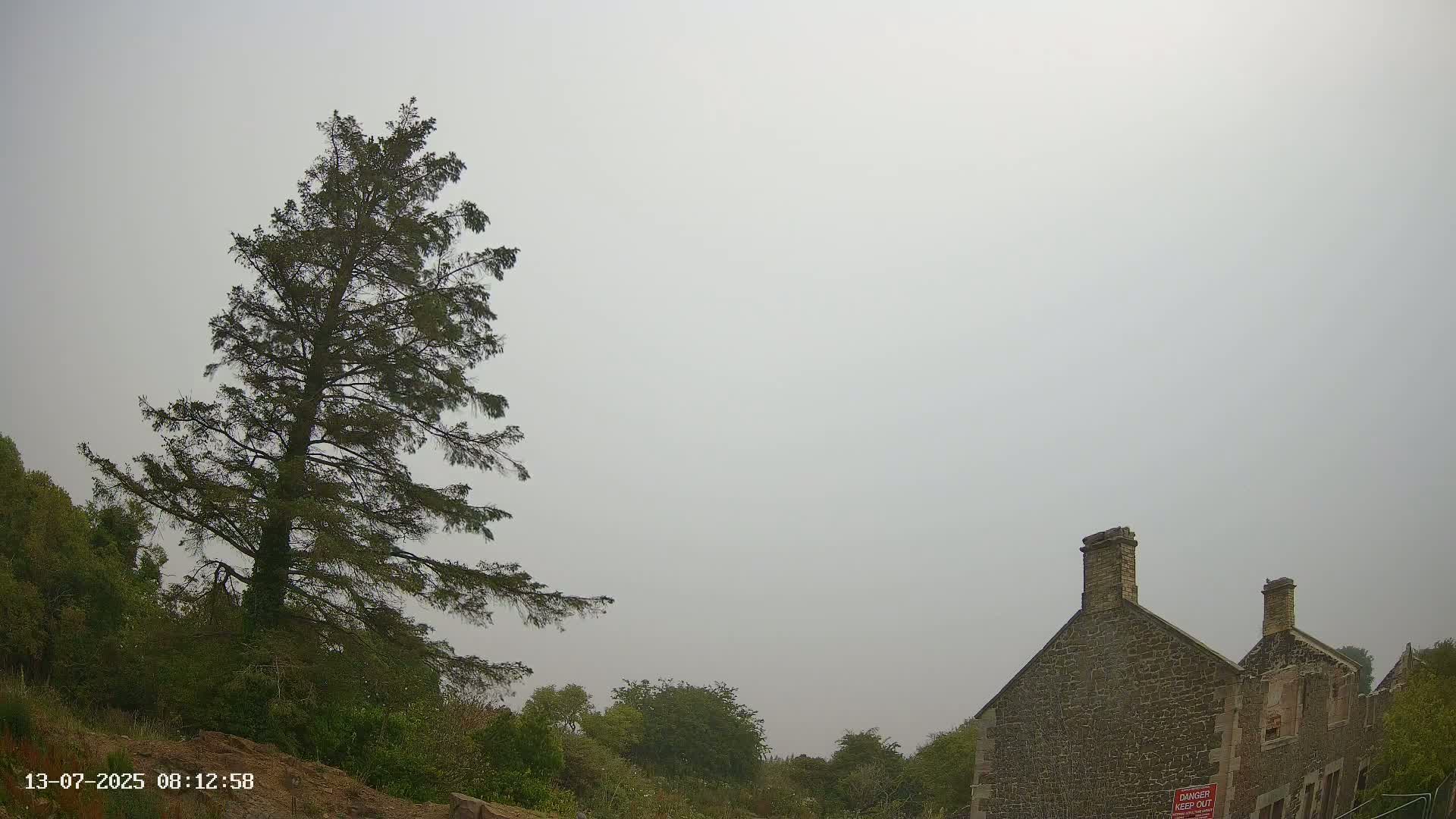 A tall evergreen tree stands to the left of a stone building under a hazy, overcast sky.