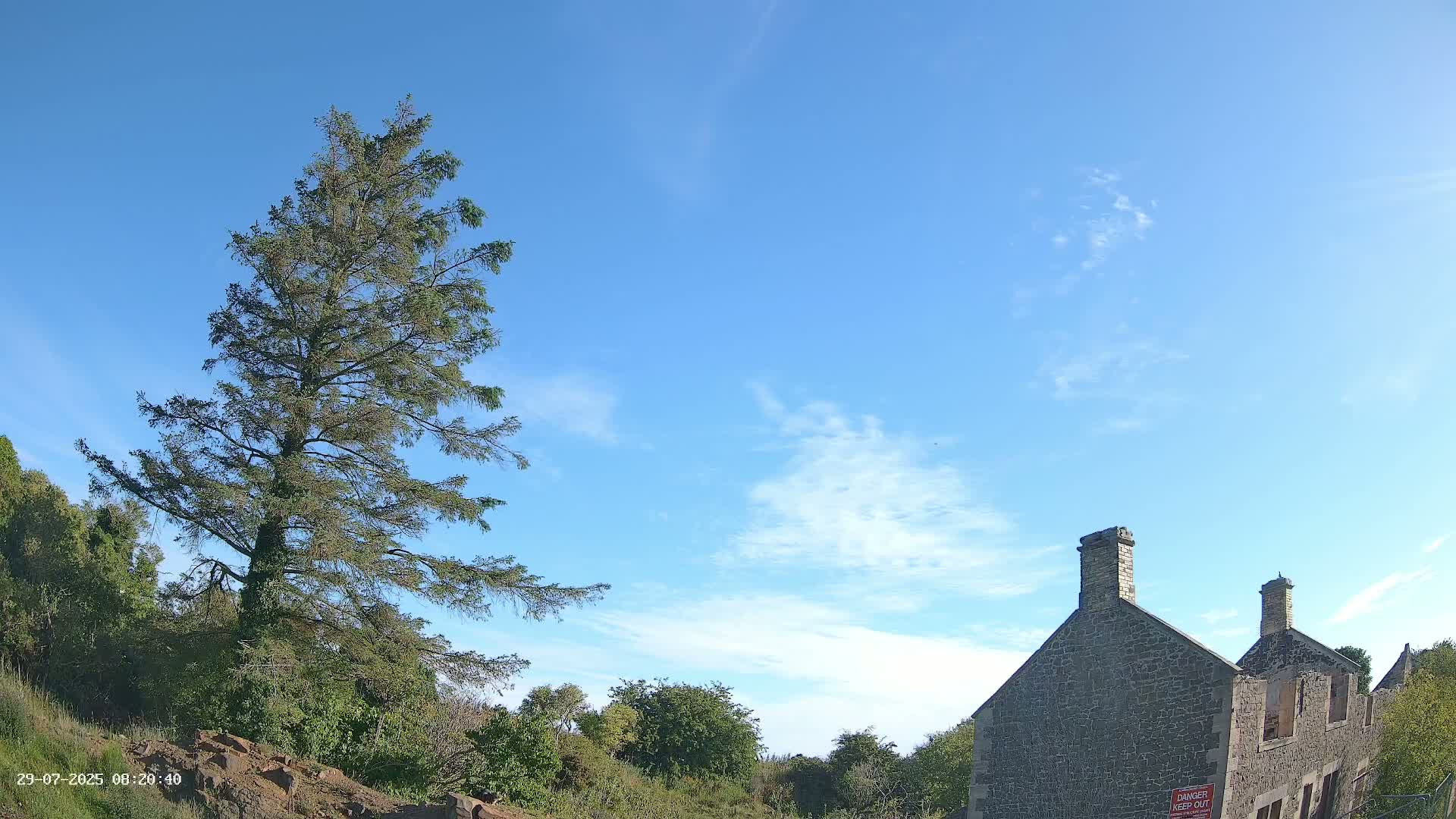 A tall evergreen tree stands to the left of a partially ruined stone building under a mostly clear blue sky with a few wispy clouds.