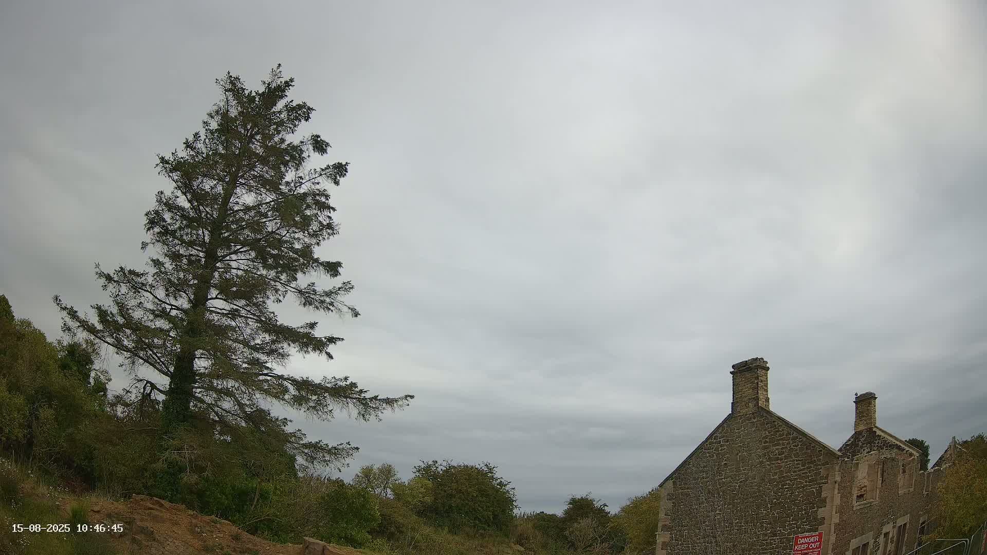 A tall evergreen tree stands to the left of a partially ruined stone building under a mostly clear blue sky with a few wispy clouds.