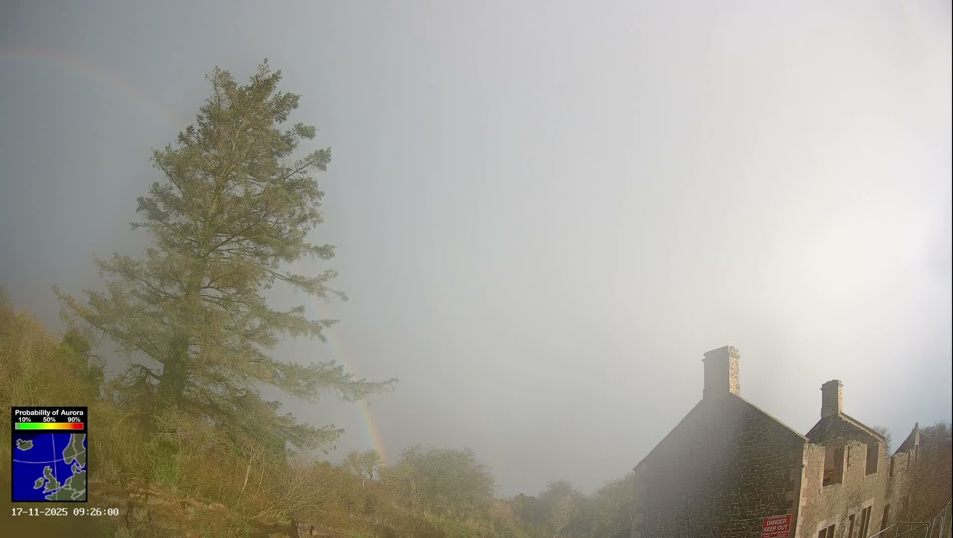 Under very foggy conditions, a large evergreen tree stands prominently beside a faint rainbow, with old stone buildings emerging from the mist on the right.