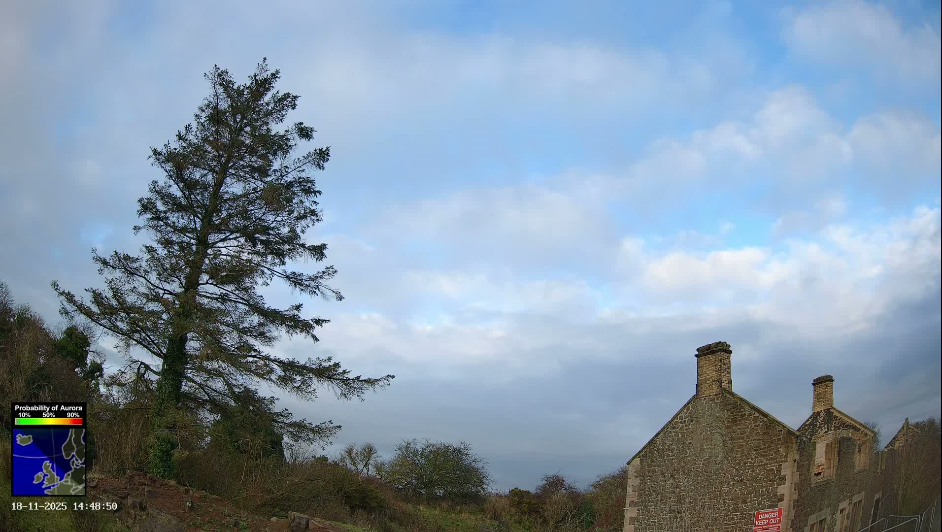 Under very foggy conditions, a large evergreen tree stands prominently beside a faint rainbow, with old stone buildings emerging from the mist on the right.