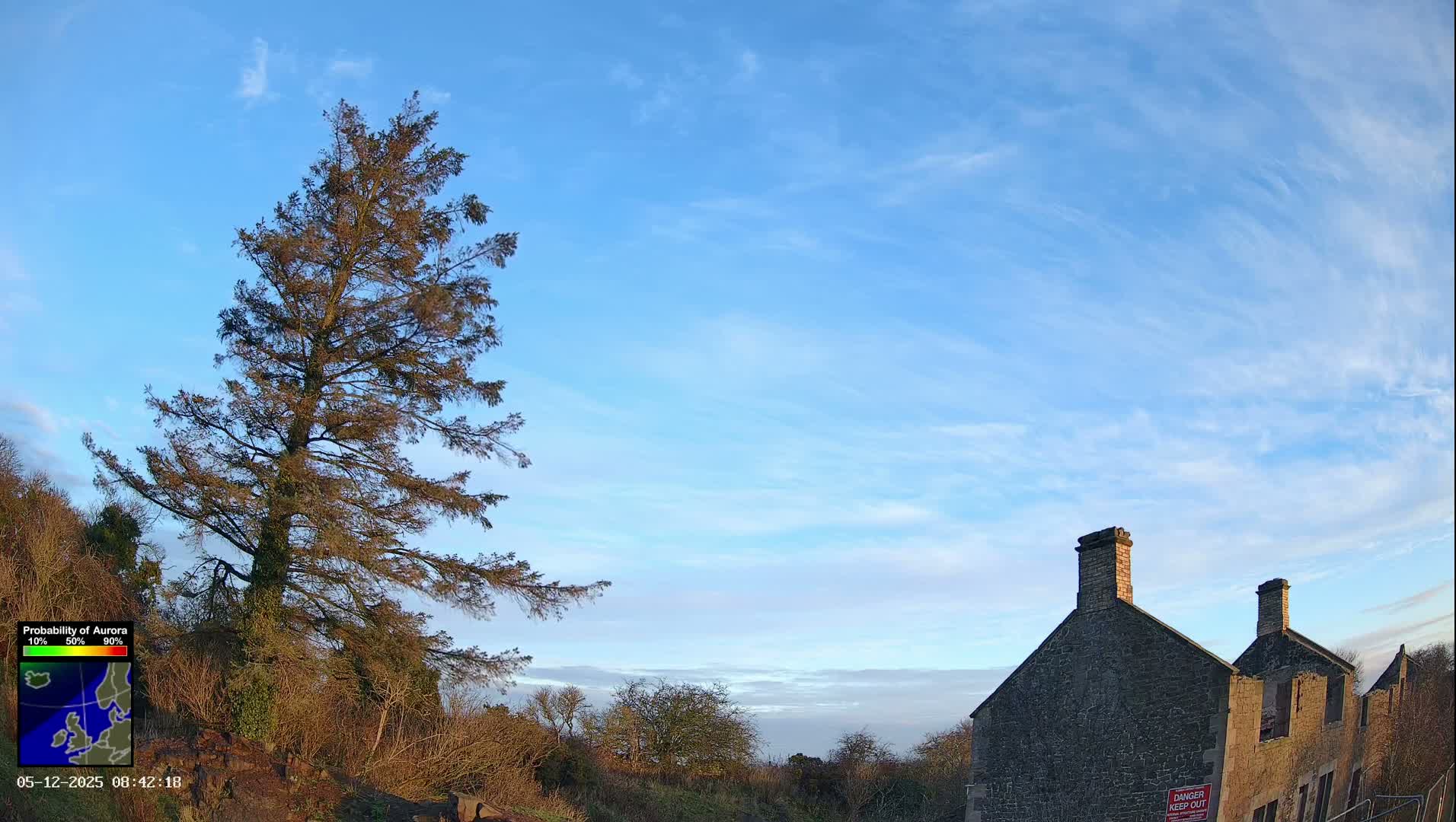 A large evergreen tree with browning foliage stands on a hillside beside a derelict stone building with chimneys, all beneath a partly cloudy blue sky.