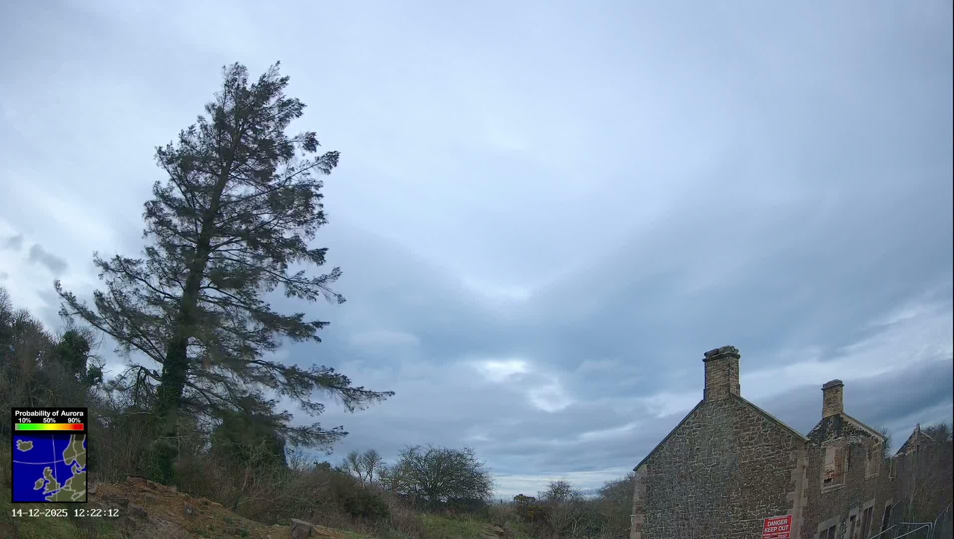 A large evergreen tree with browning foliage stands on a hillside beside a derelict stone building with chimneys, all beneath a partly cloudy blue sky.