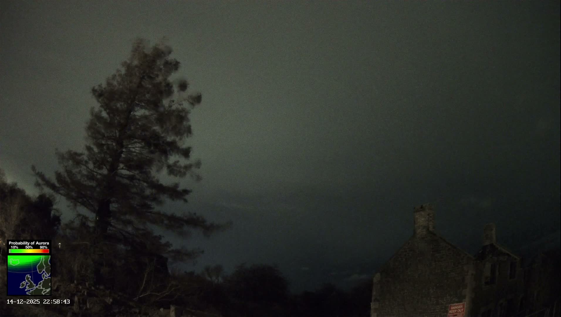 A large evergreen tree with browning foliage stands on a hillside beside a derelict stone building with chimneys, all beneath a partly cloudy blue sky.