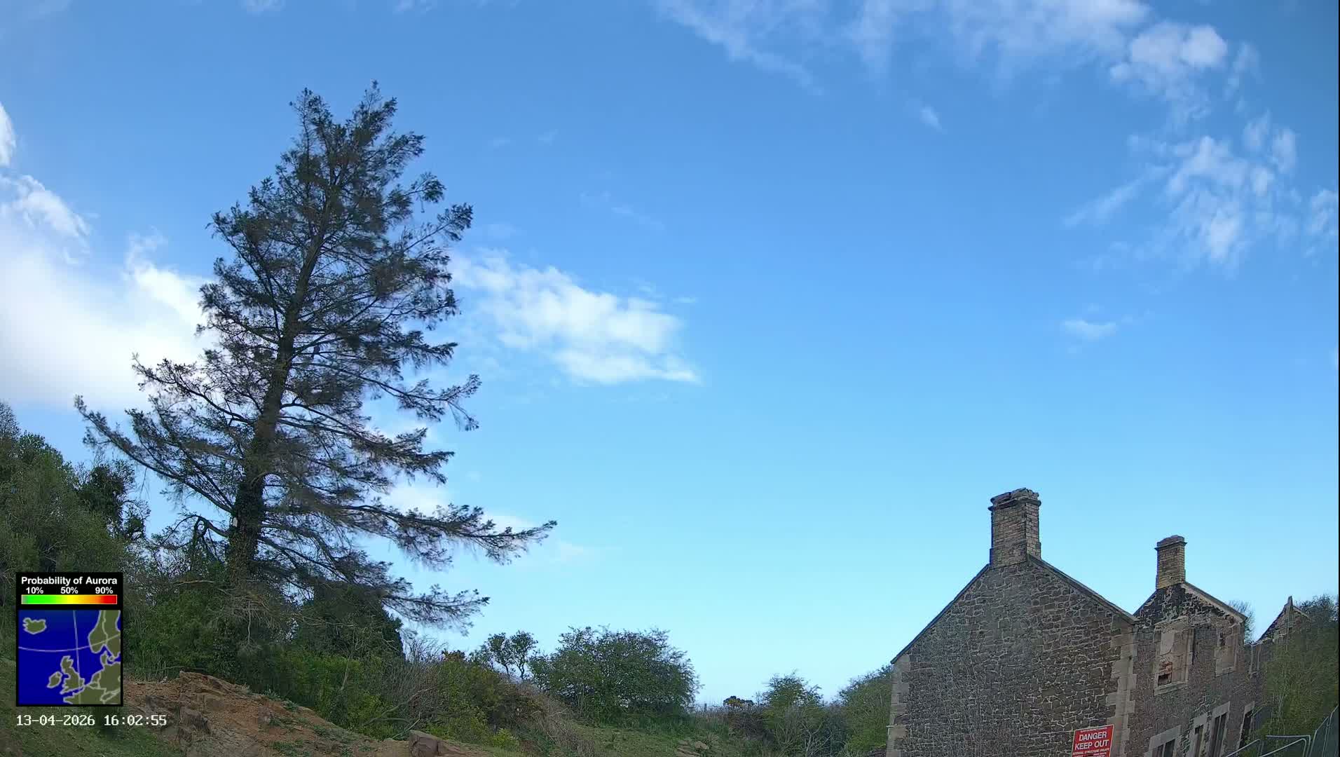 A large evergreen tree with browning foliage stands on a hillside beside a derelict stone building with chimneys, all beneath a partly cloudy blue sky.