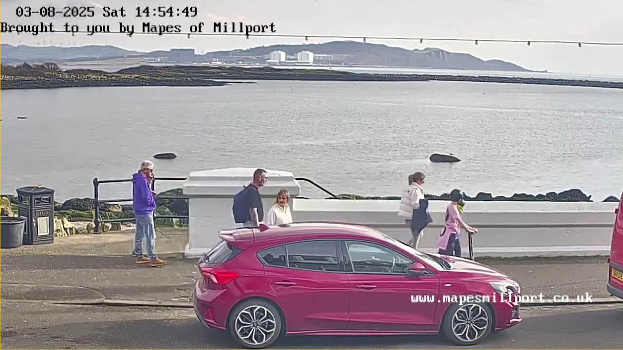 A group of people stand near a pink car parked by a waterfront on a sunny day, overlooking a calm body of water and distant land.