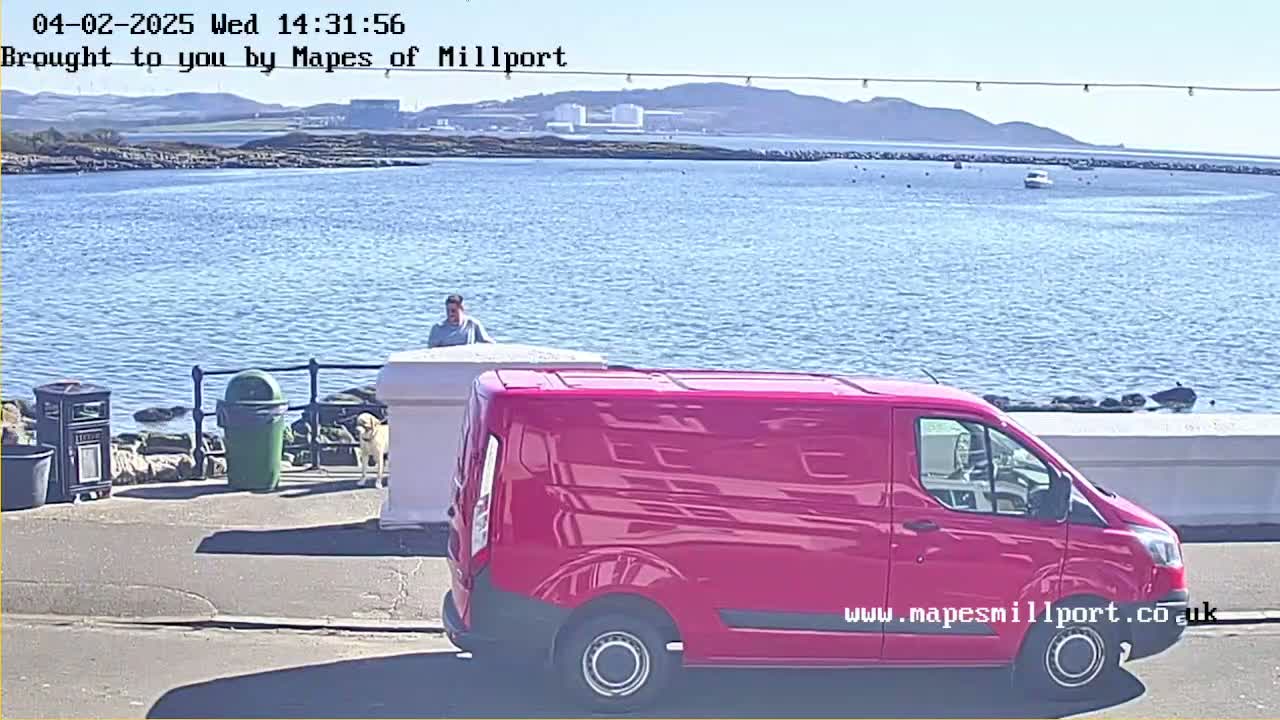A red van is parked near a person and a dog by the water on a sunny day.