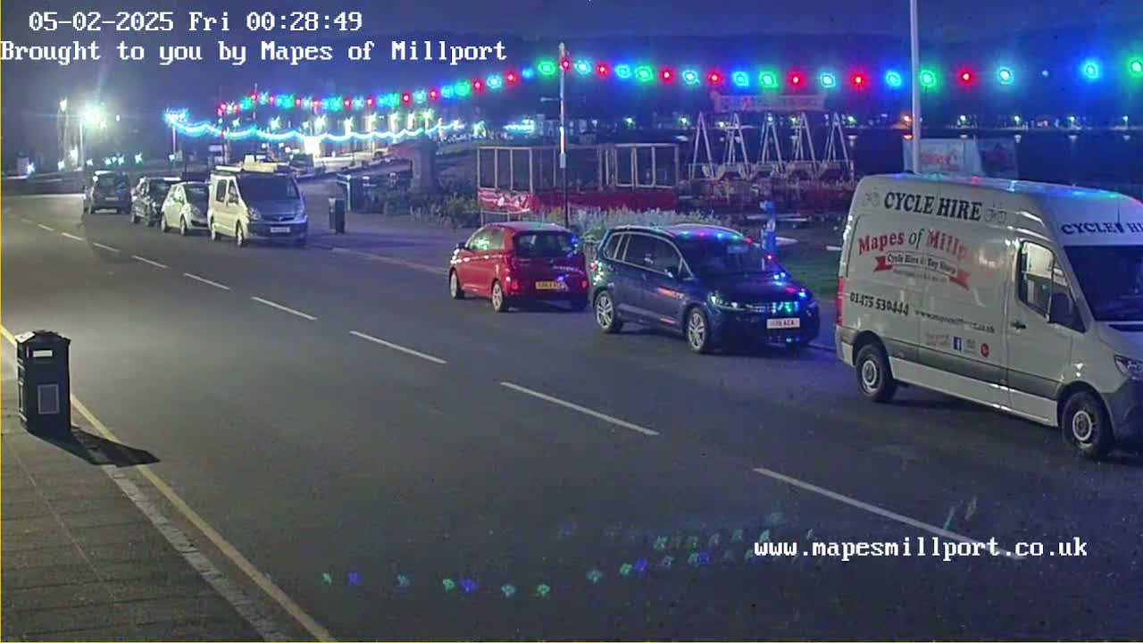 At night, several cars are parked along a road under a string of multicolored lights.