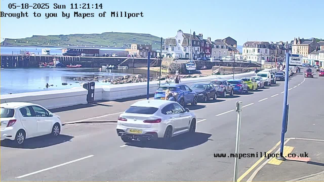 A sunny seaside town with a harbor and parked cars lining a road next to a low seawall.