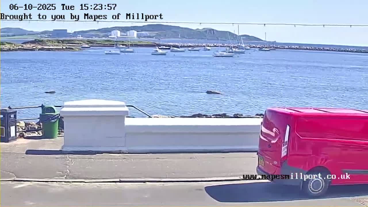 A red van is parked near a waterfront with calm water, several boats, and a distant shoreline under sunny skies.