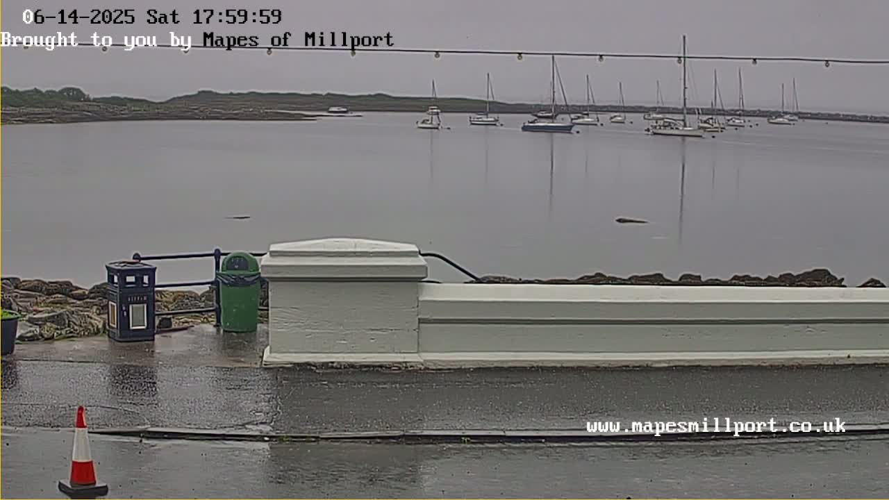 A wet, overcast day shows several sailboats in a calm harbor, viewed from a paved waterfront area with a low white wall and trash receptacles.