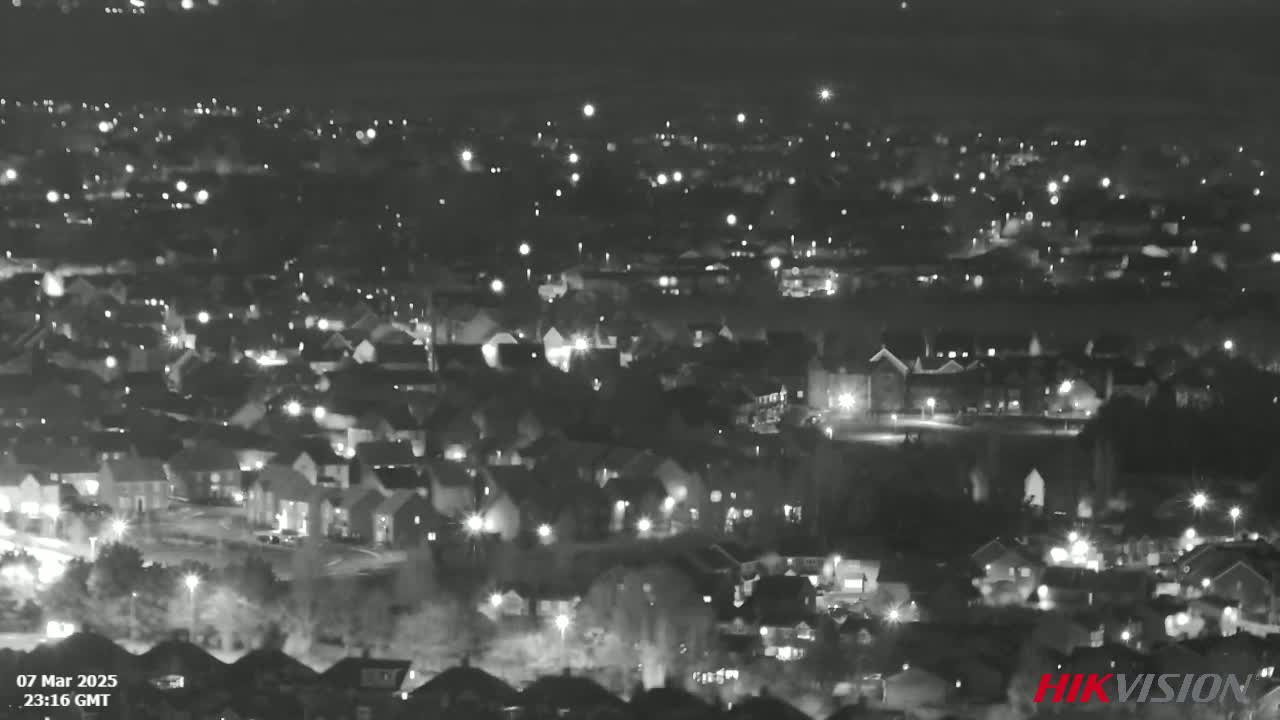 A nighttime, high-angle, grayscale view of a suburban residential area with numerous streetlights illuminating houses and roads under a clear sky.