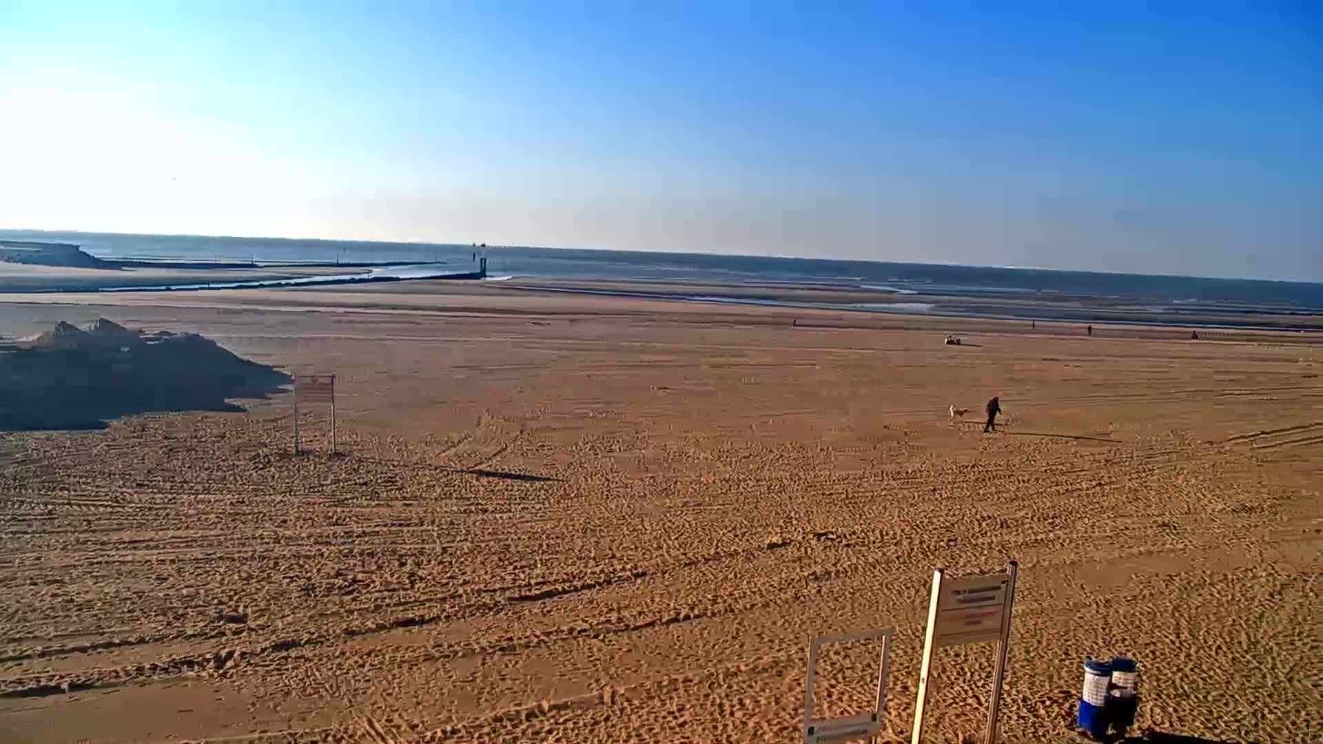 A person walks a dog on a wide, sandy beach under a clear blue sky.