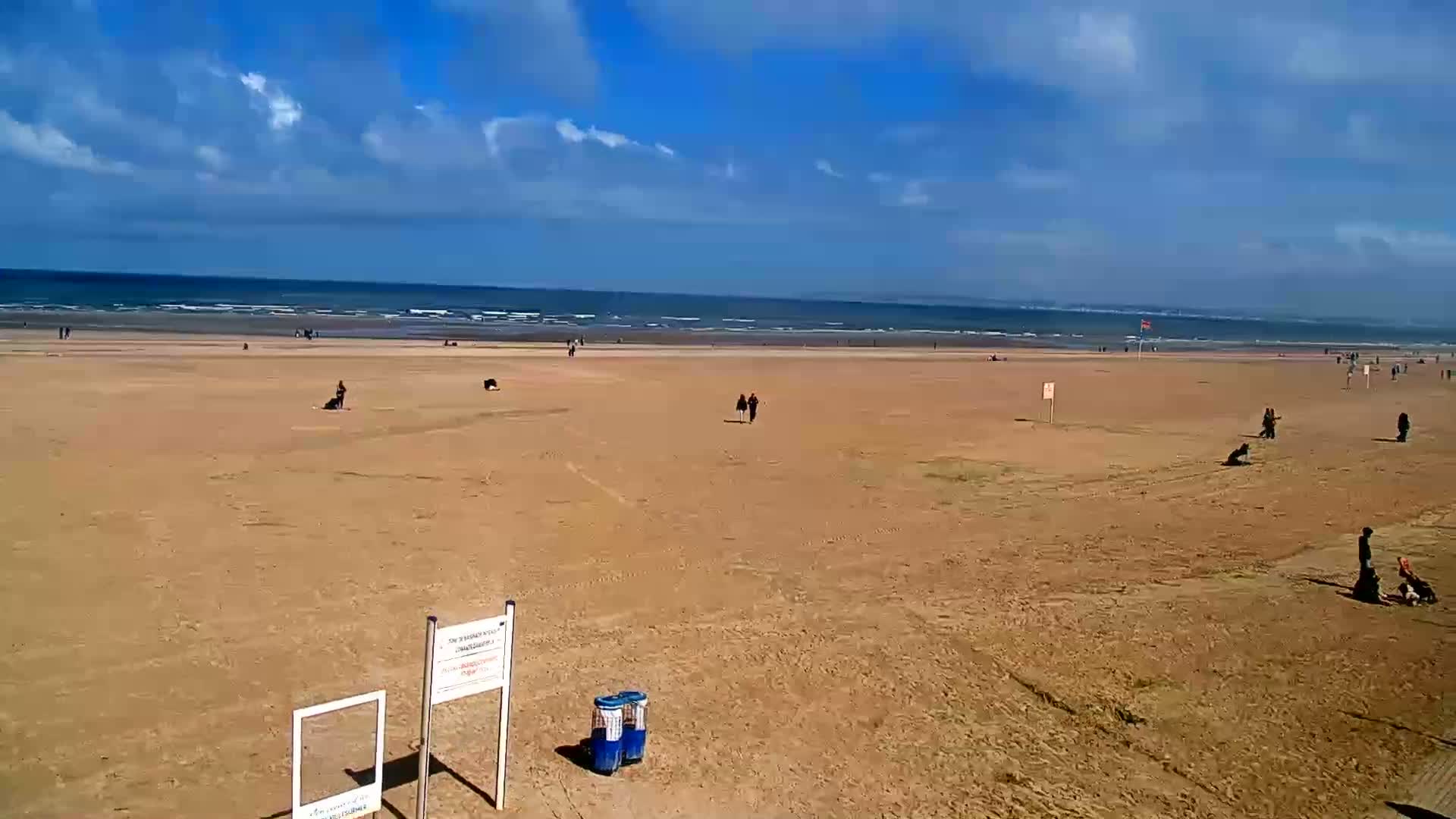 A mostly sunny day shows a wide sandy beach with sparsely scattered people and a few dogs, and a calm ocean in the background.