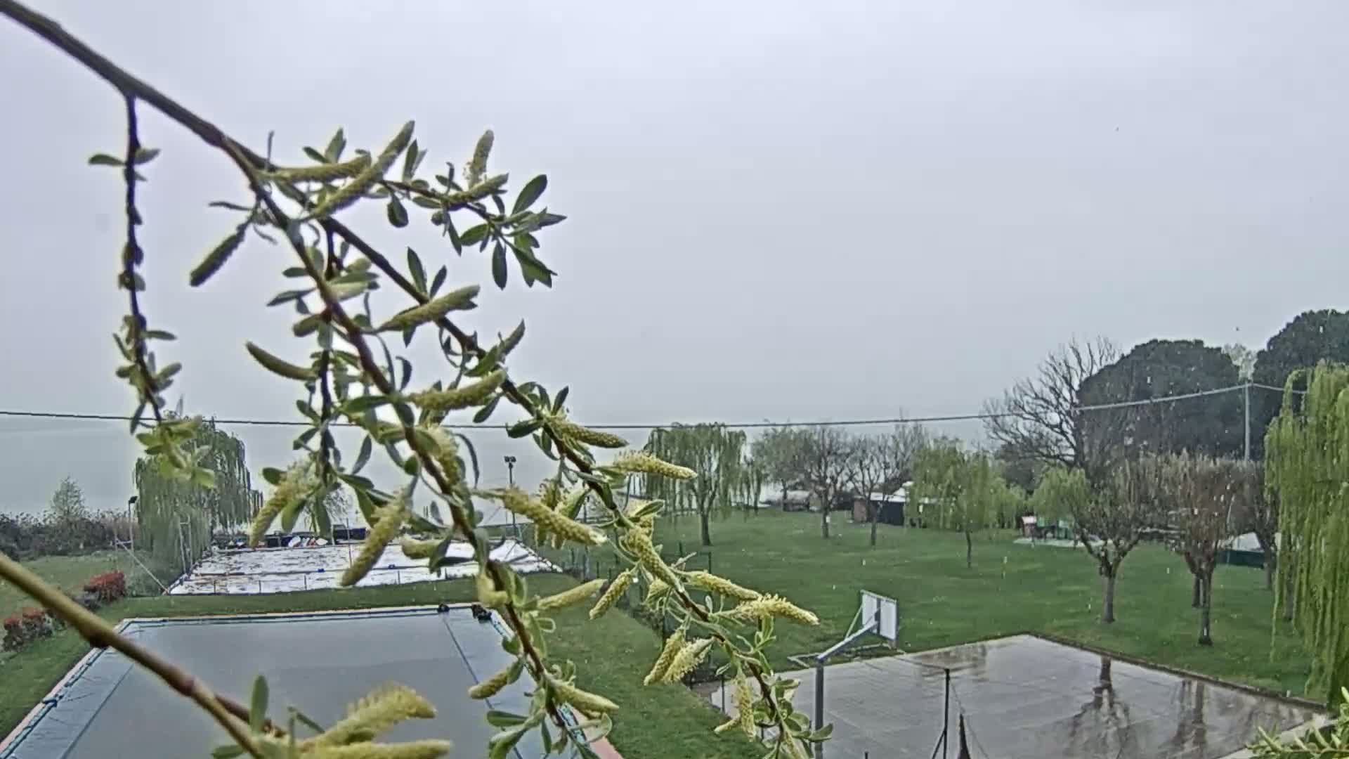A partially obscured view of a grassy area with trees, a basketball court, and a covered swimming pool, all under a light, snowy or hazy rain.