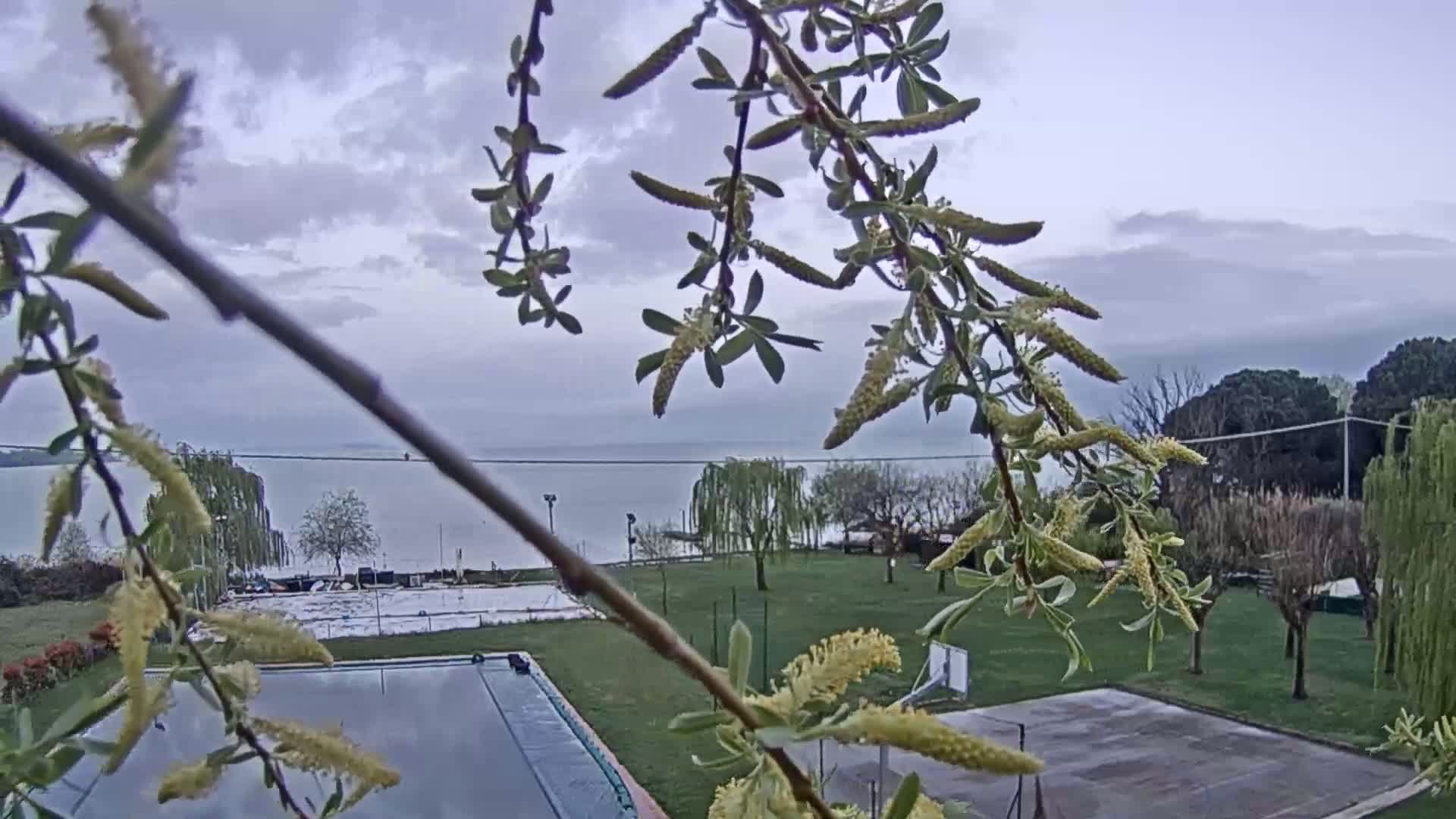 A view through flowering branches shows an overcast sky over a calm lake, a grassy area with a basketball court and swimming pool, and some trees.