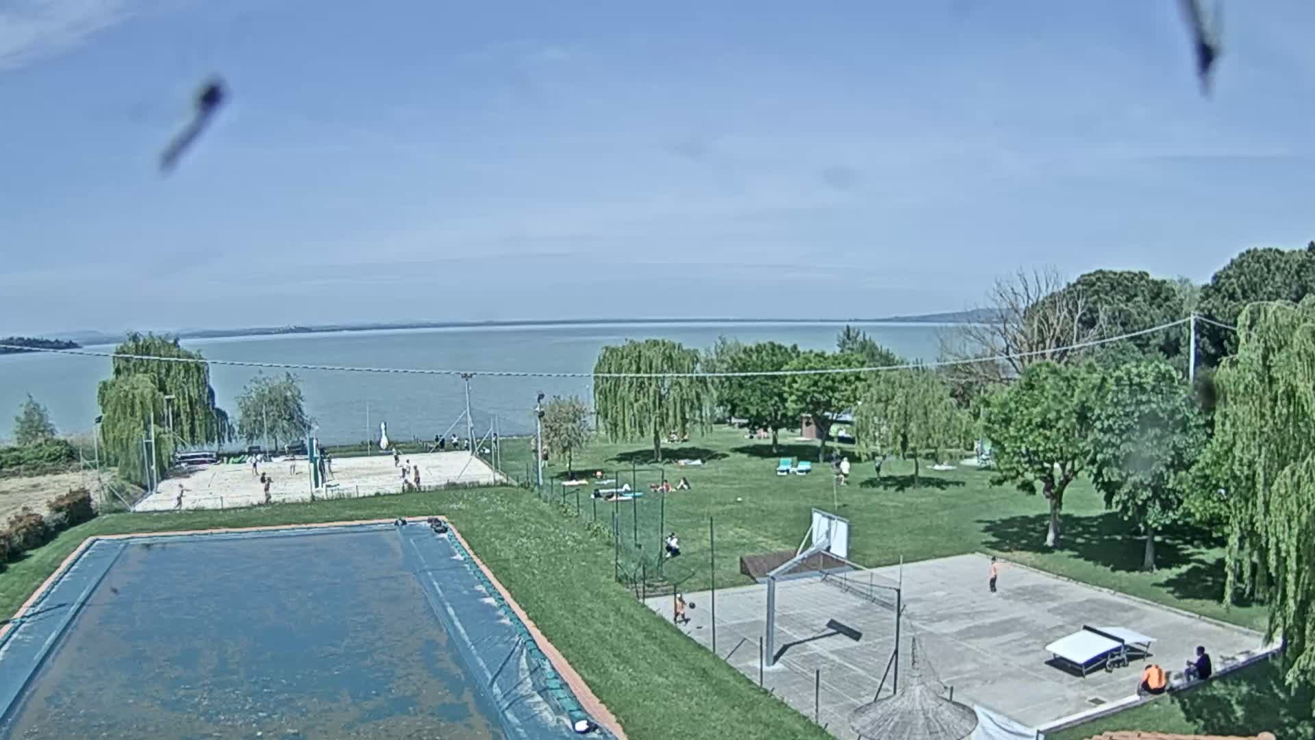 An outdoor scene on a sunny day shows a swimming pool, volleyball and basketball courts, and people relaxing on a grassy area near a lake.