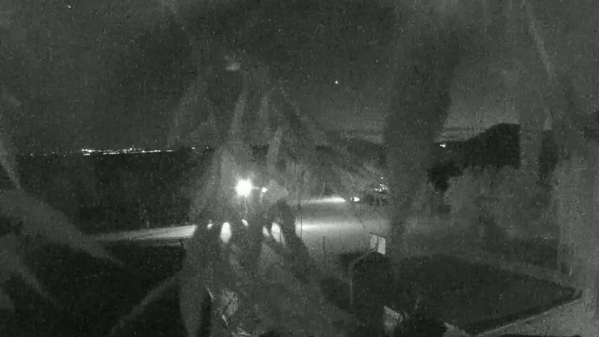 A nighttime, low-light image shows a group of people standing near a road with a city skyline visible in the distance.