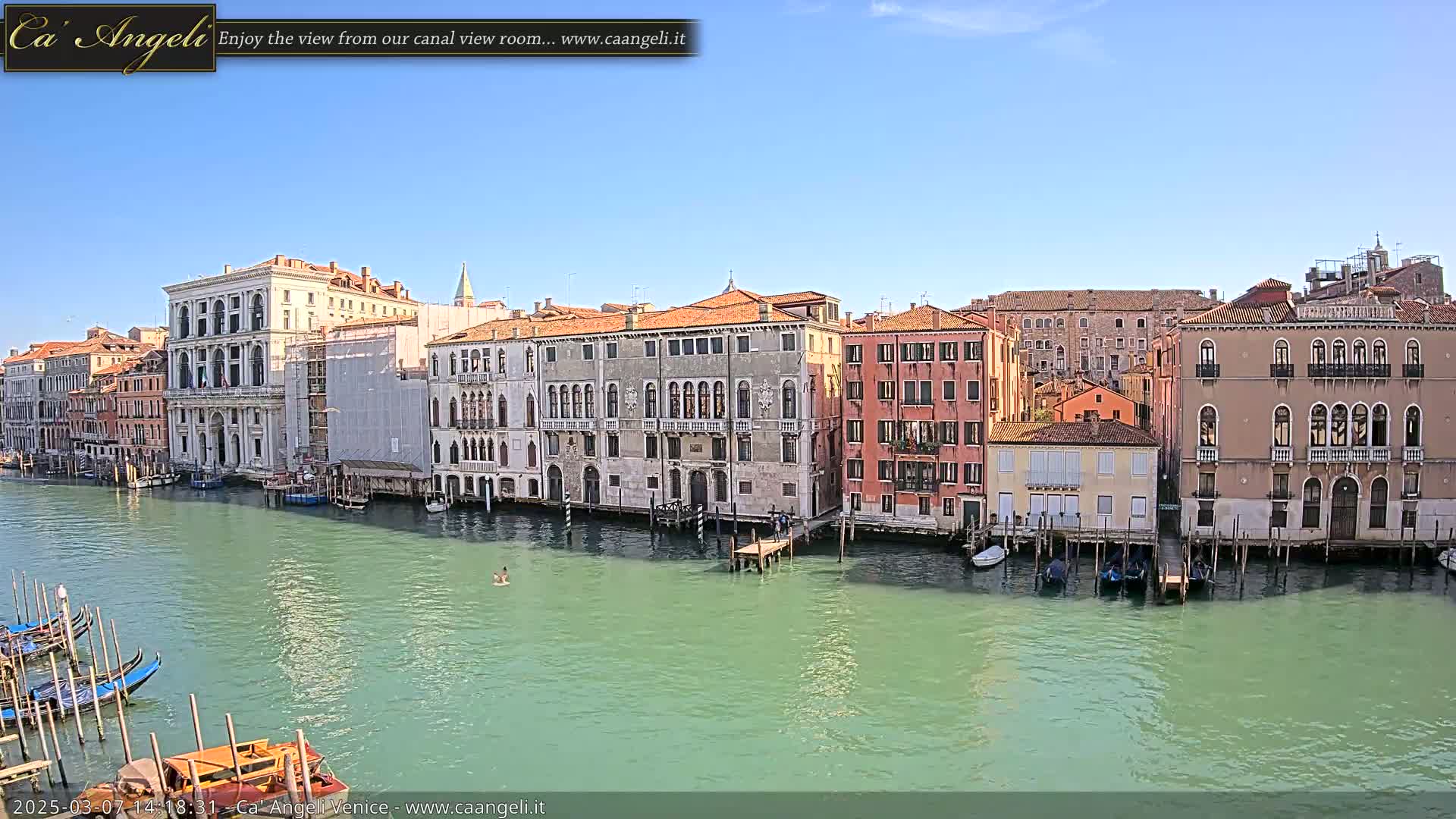 A sunny day in Venice shows several canal-side buildings, gondolas moored along the waterfront, and a person swimming in the canal.