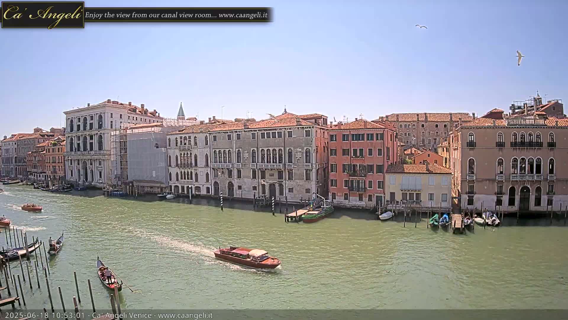 A sunny day in Venice shows a canal with gondolas and motorboats passing by colorful buildings along the waterway, with two birds flying overhead.