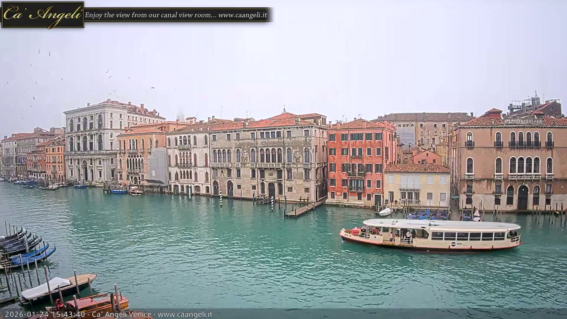 Venice Boats in Grand Canal Live Cam - Venice, Veneto, Italy
