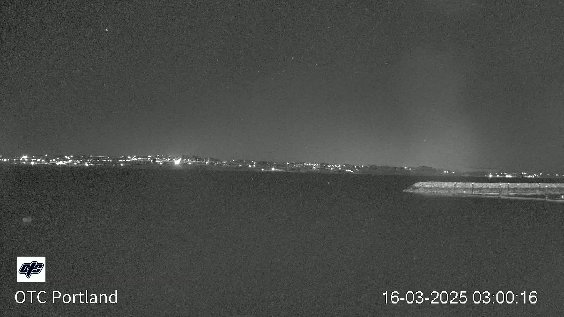 A nighttime, low-light view shows a distant city skyline illuminated by lights under a clear, starry sky.