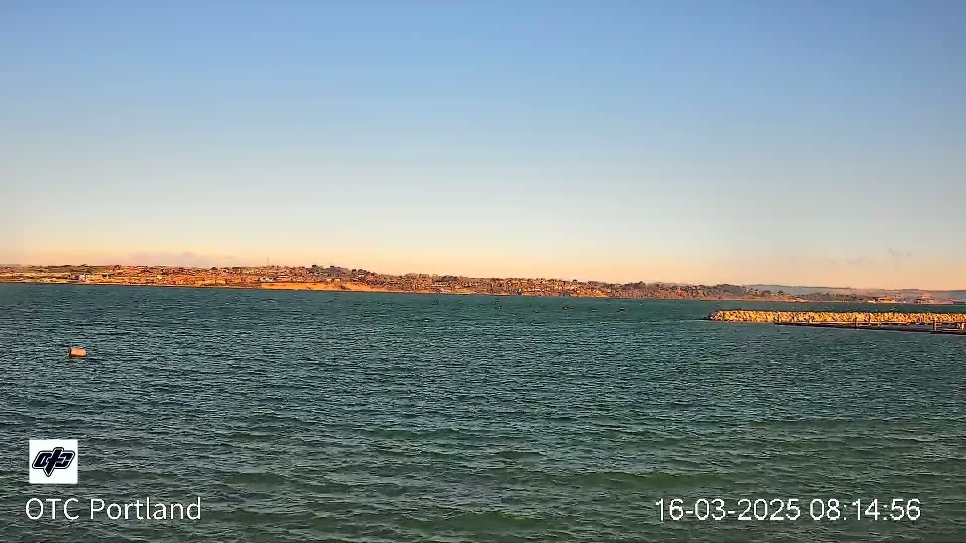 A calm body of water with a distant shoreline under a clear, light-blue sky.