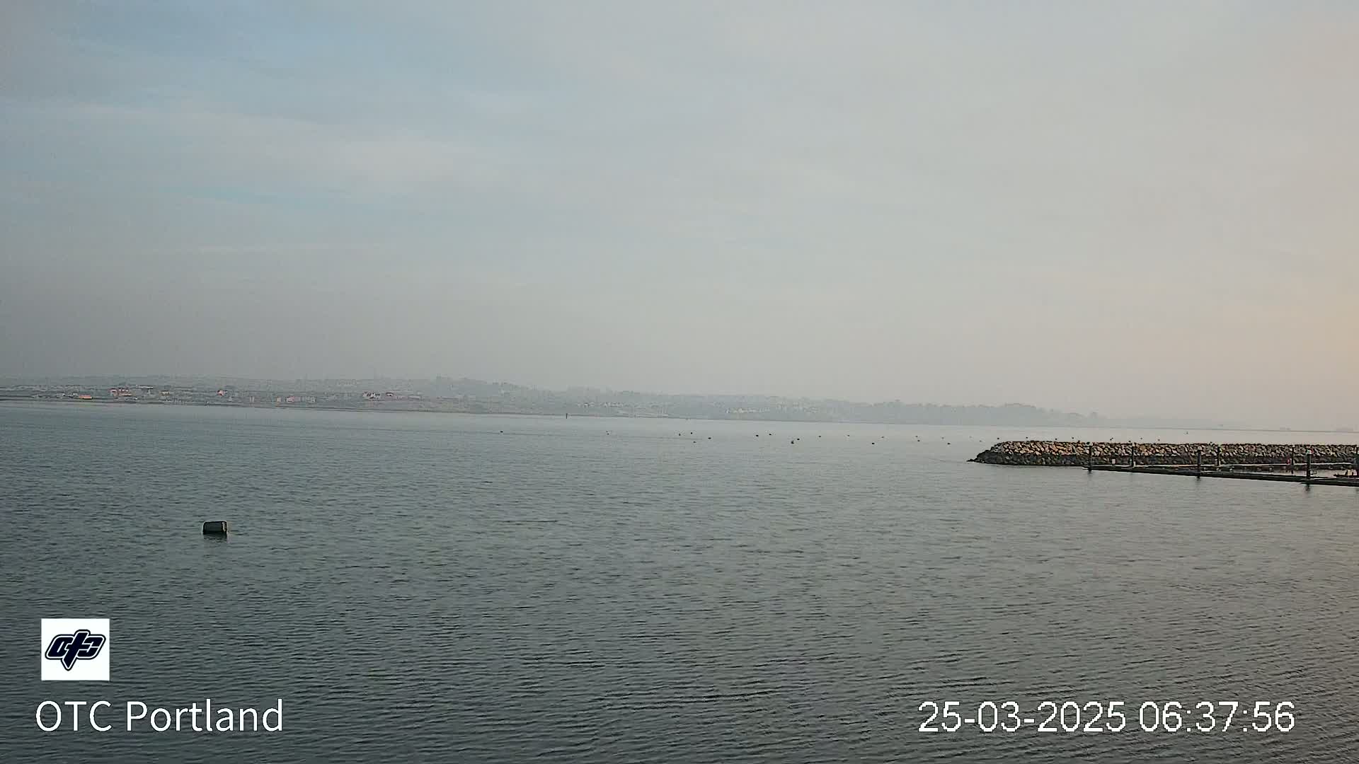 A hazy, calm body of water stretches toward a distant shoreline under a light-grey sky.