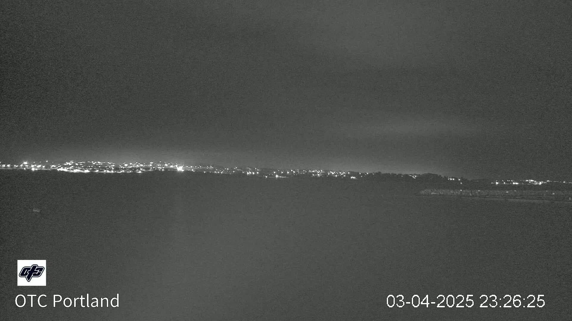 A nighttime long shot shows a city skyline faintly illuminated by distant lights under a dark, overcast sky.