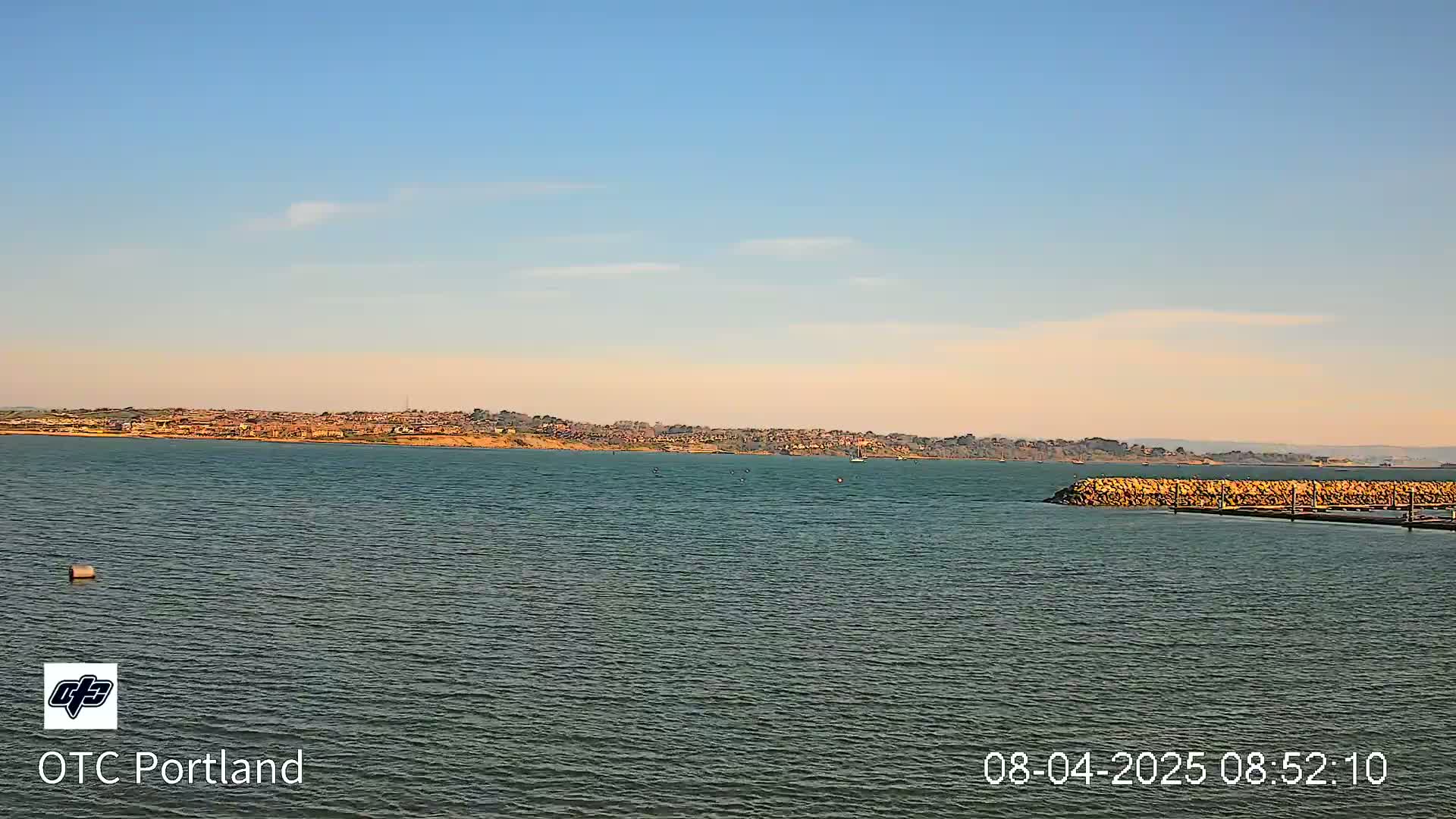 A calm body of water shows a distant shoreline with buildings under a clear, light blue sky.