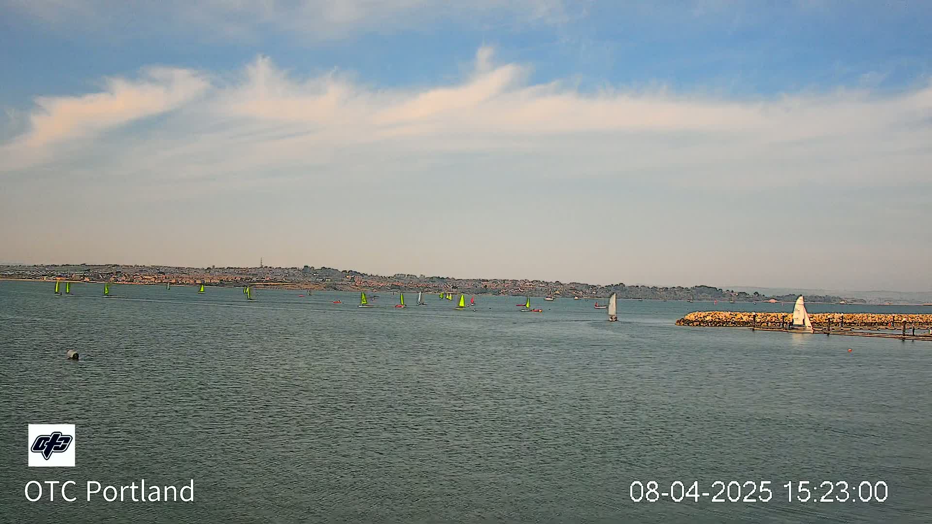 Numerous sailboats are scattered across a calm body of water under a partly cloudy sky, with a distant shoreline visible in the background.