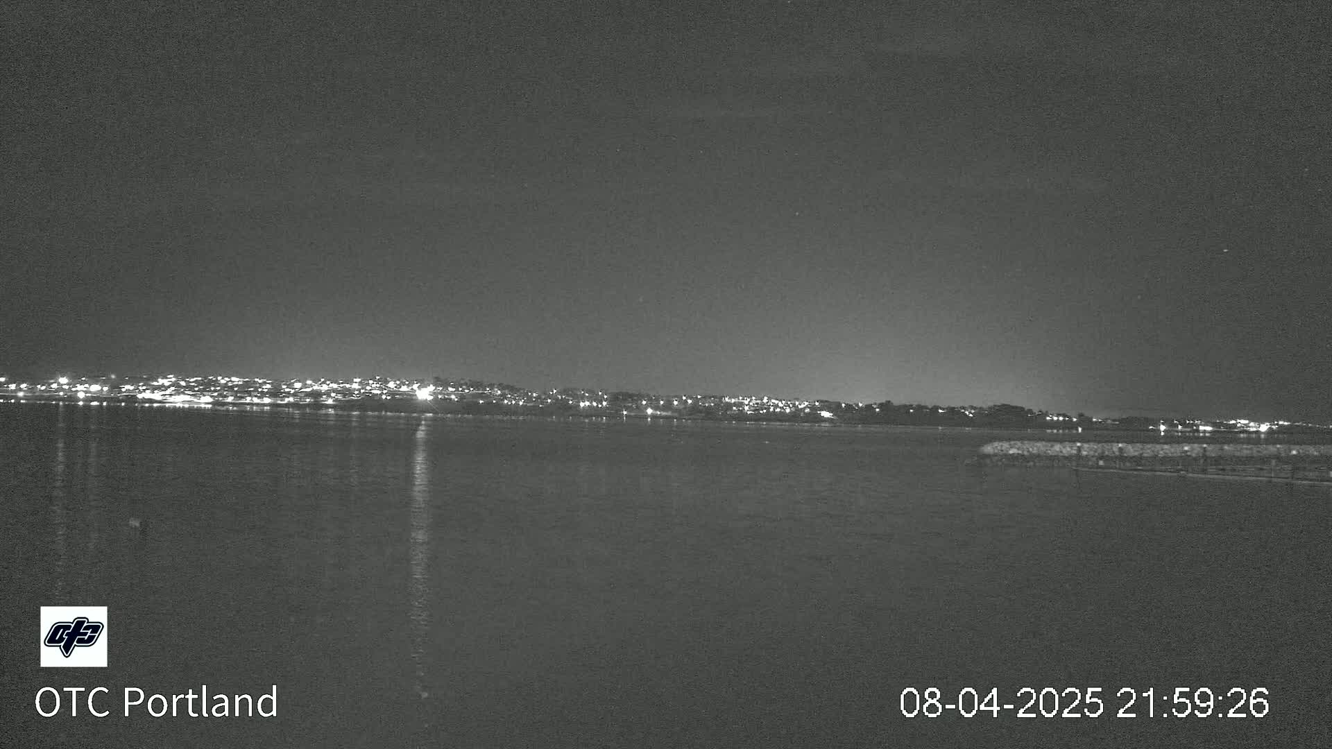 A nighttime view across a calm body of water shows a distant, dimly lit cityscape under a clear, dark sky.