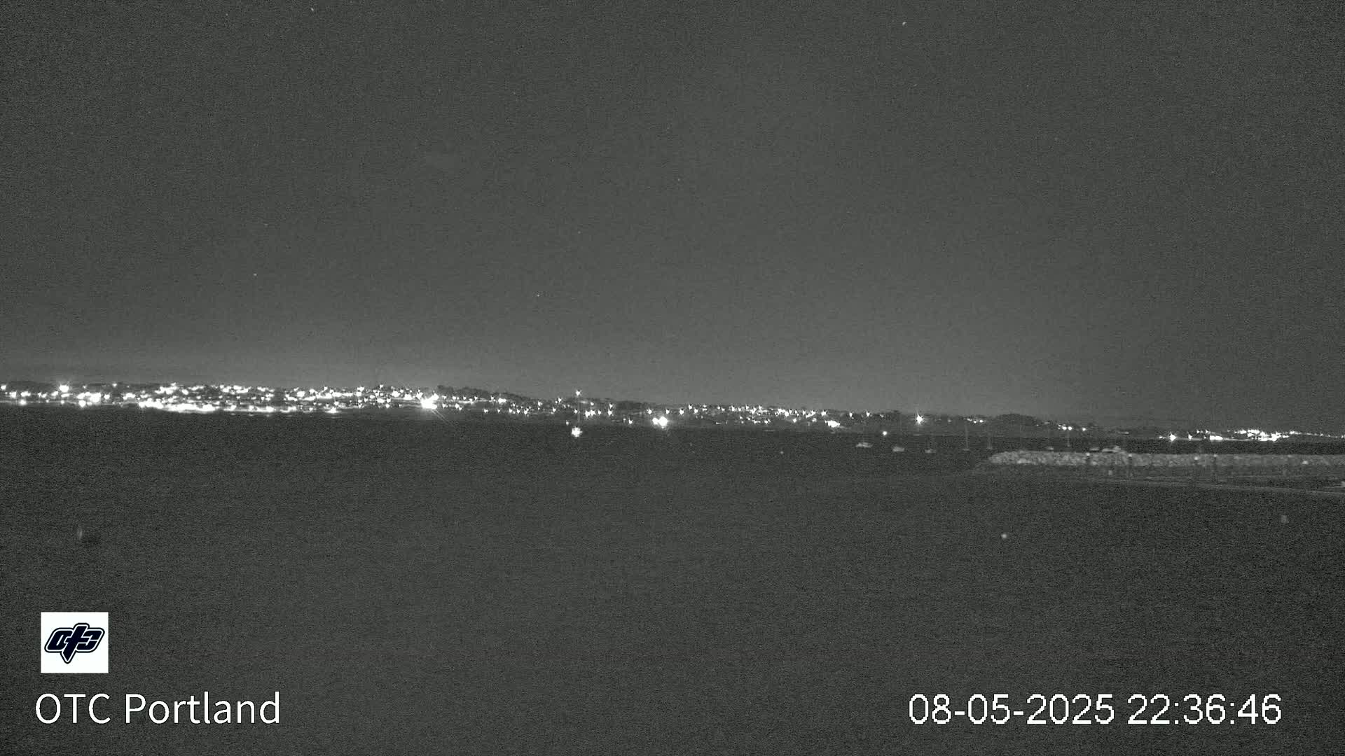 A nighttime, long shot of a distant city skyline illuminated by lights under a clear, dark sky.