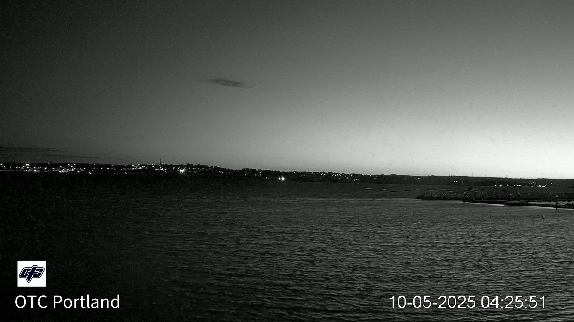 A nighttime, black and white view shows a calm body of water with a distant, dimly lit cityscape under a clear, dusky sky.