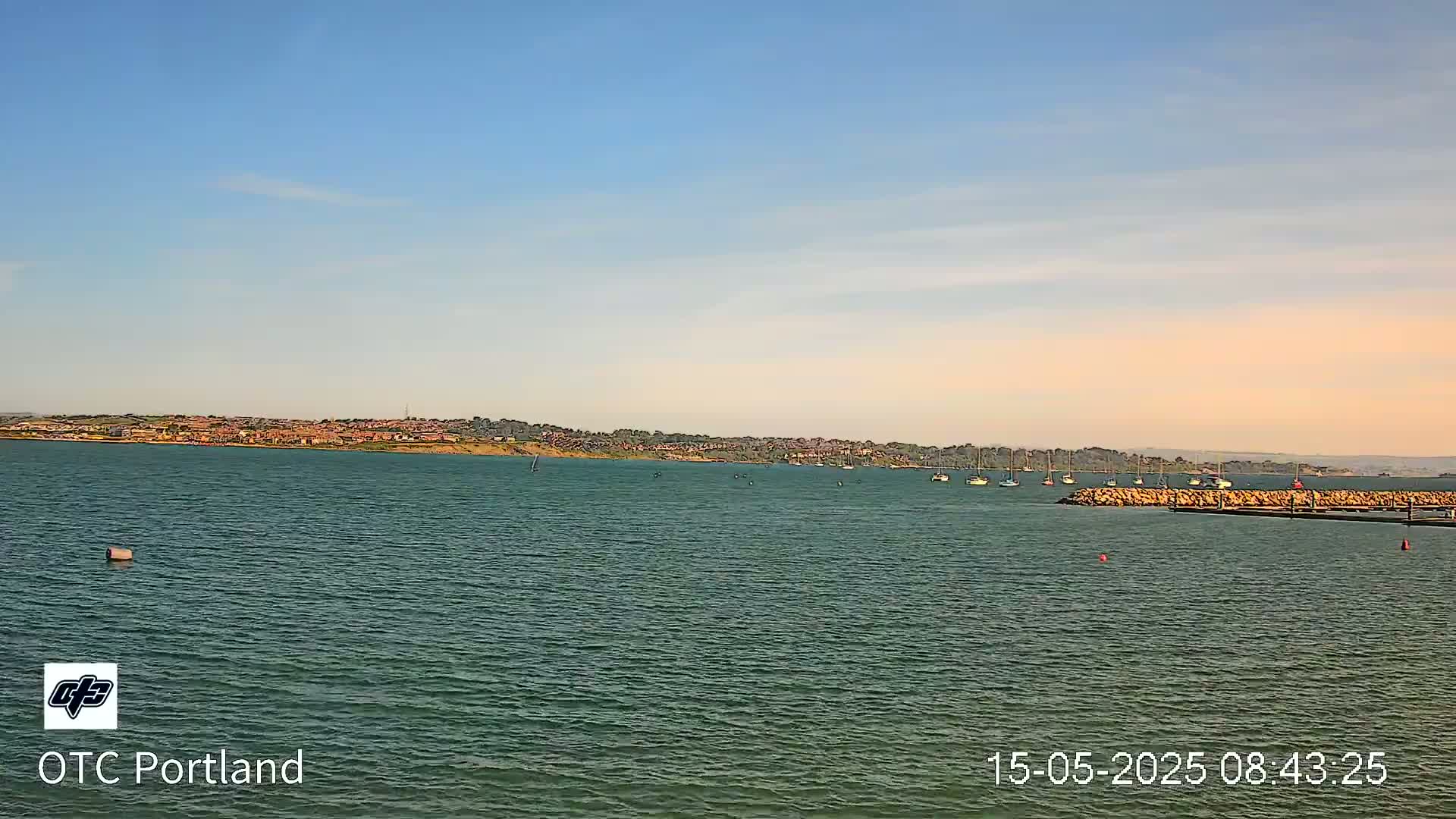 A calm body of water with several boats and a distant shoreline under a clear, light-blue sky.