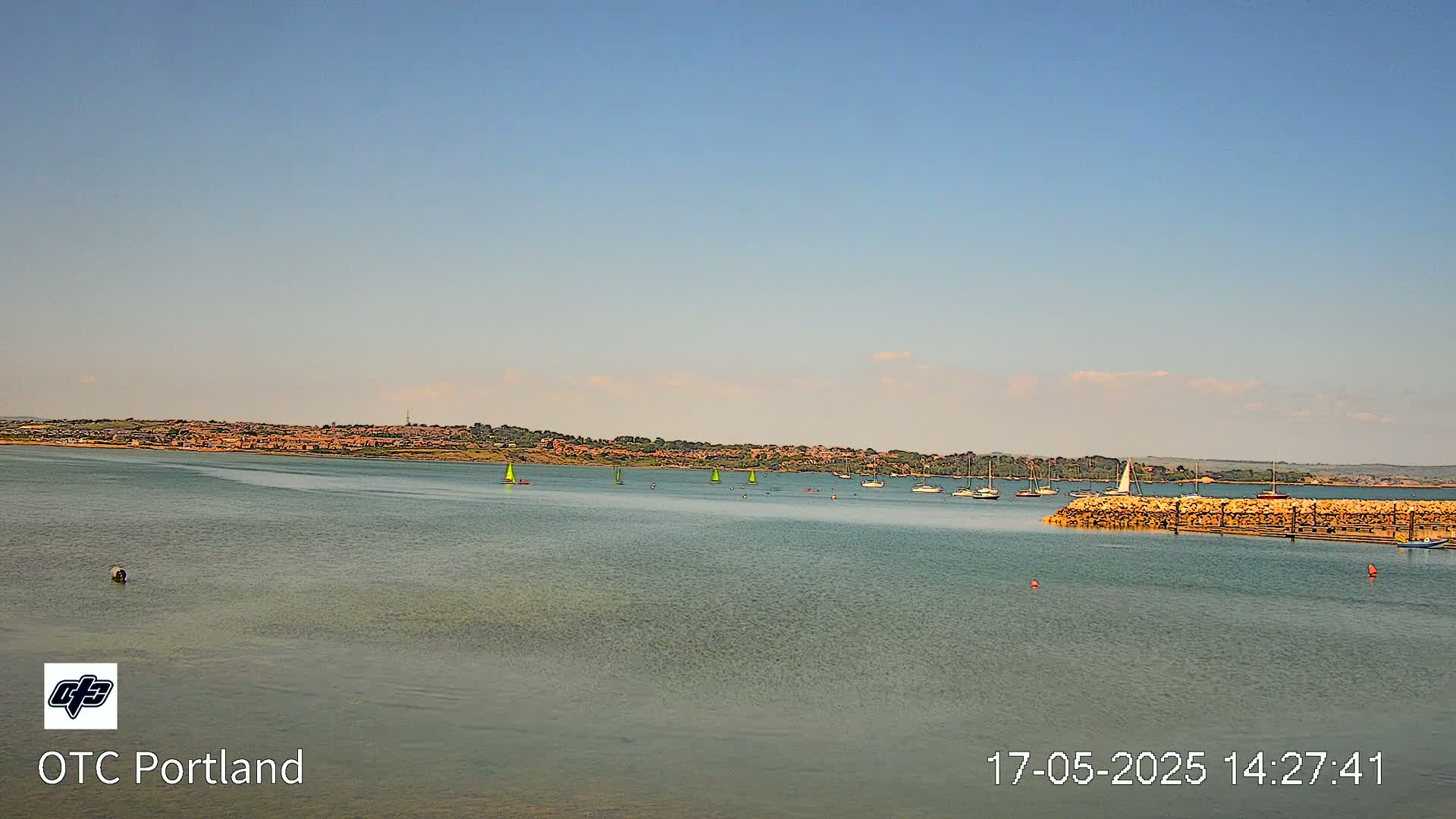A calm body of water with several sailboats and a distant shoreline under a clear blue sky.