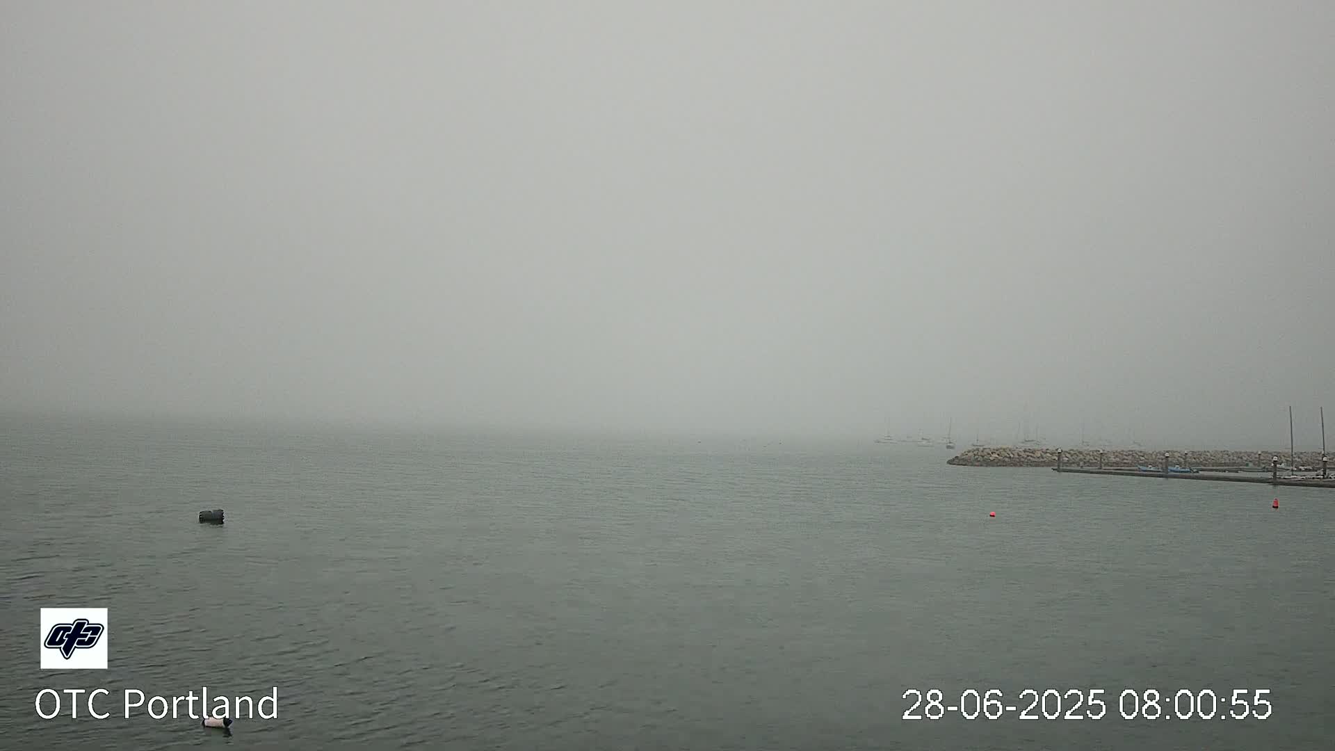 A foggy body of water shows a small harbor with a rock wall and a few boats in the distance.