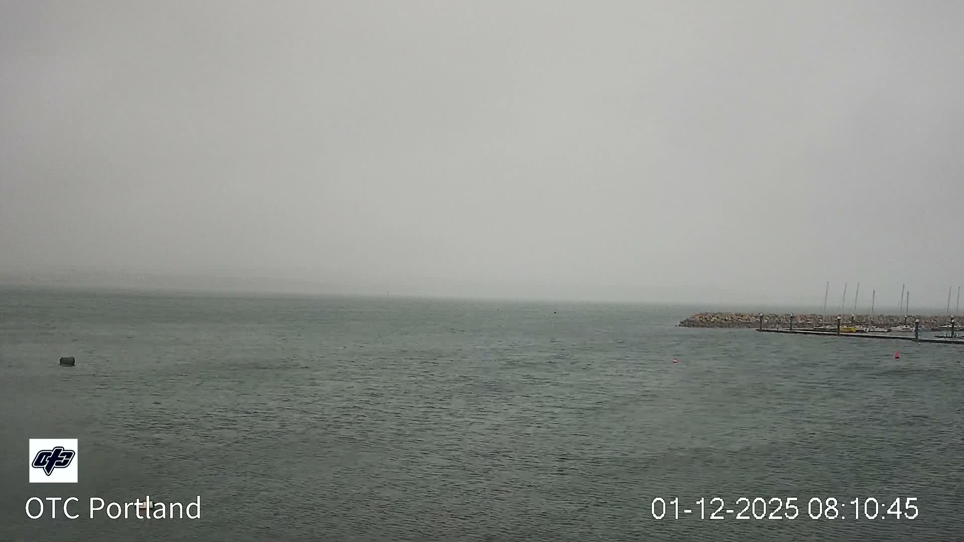 Under dense fog and overcast skies, a marina with docked sailboats and a rocky breakwater extends into choppy water.
