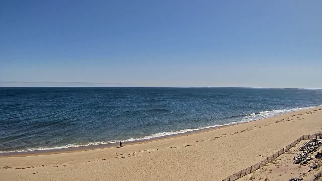 A person walks along a sandy beach next to a calm, blue ocean under a clear blue sky.