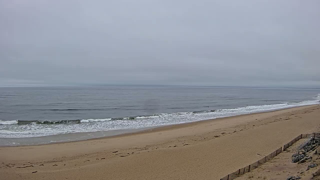 A sandy beach slopes down to a calm, gray ocean under an overcast sky.