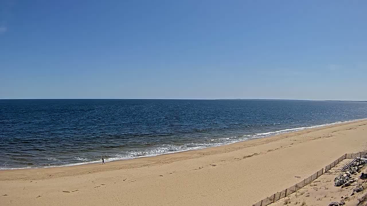 A person walks along a sandy beach next to a calm, blue ocean under a clear blue sky.