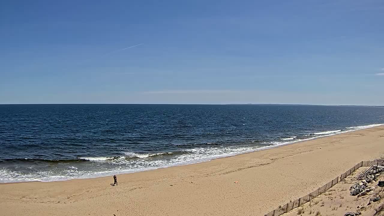 A sandy beach slopes down to a gently waving ocean under a clear blue sky.