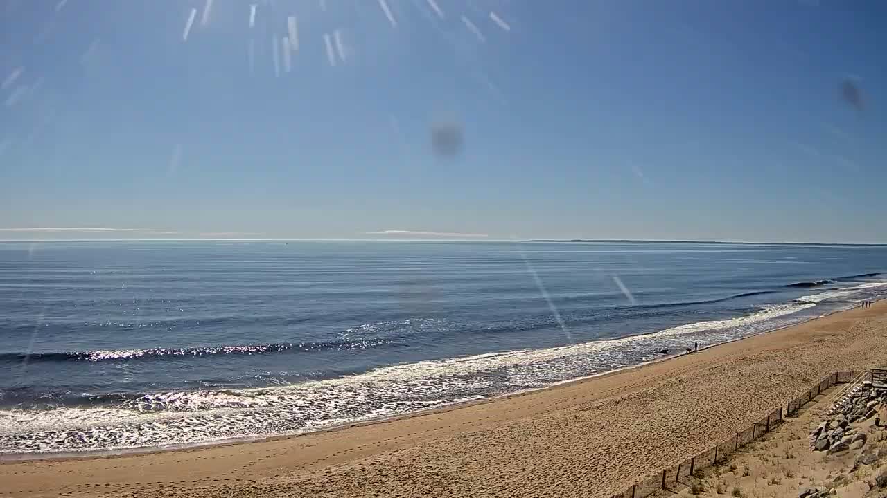 A sandy beach slopes down to a calm ocean under a clear, sunny sky.