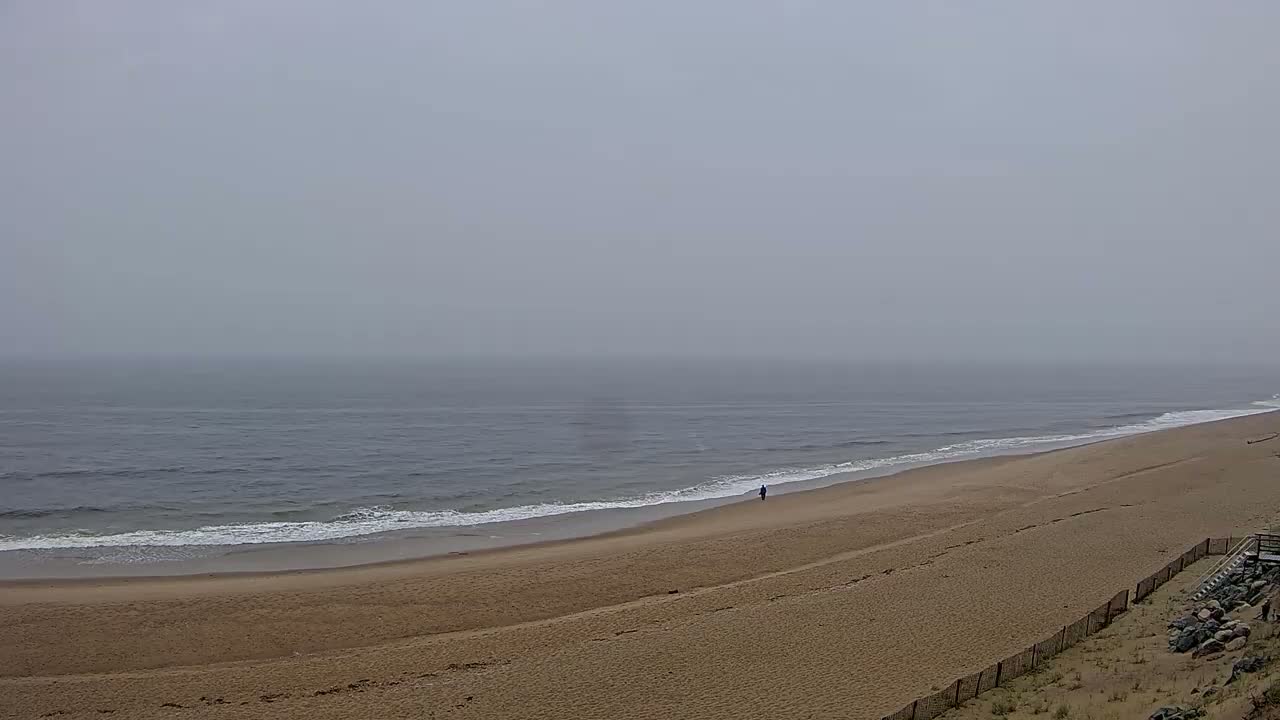 A person walks along a sandy beach on a foggy day, with calm waves lapping the shore.
