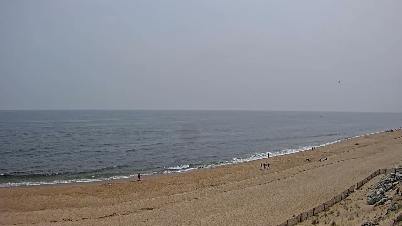 A long, sandy beach slopes down to a calm, gray ocean under a hazy sky.
