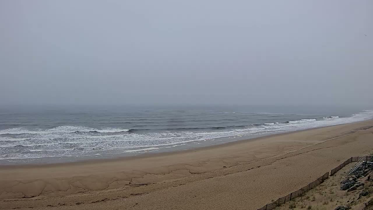 A foggy day at the beach shows gentle waves lapping a sandy shore.
